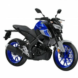 2021-yamaha mt 09 Motorcycle